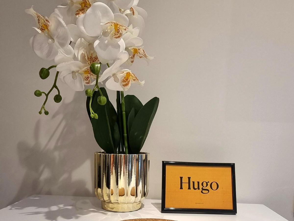 贝尔格莱德Hugo Old Town公寓 外观 照片